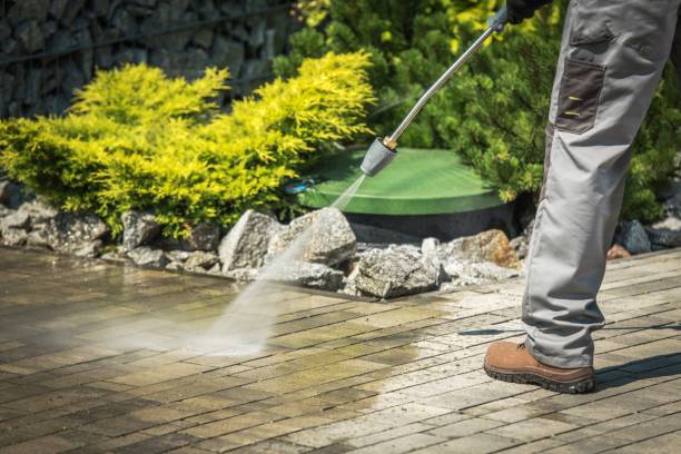 Best Spring Cleaning  in Catahou, LA